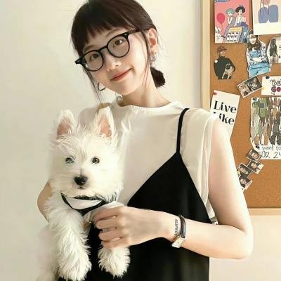 功夫无敌